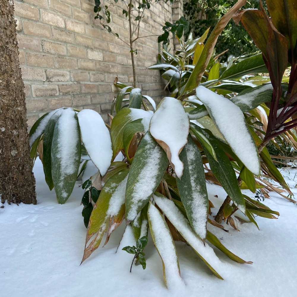 Meet your Posher, Yasemin